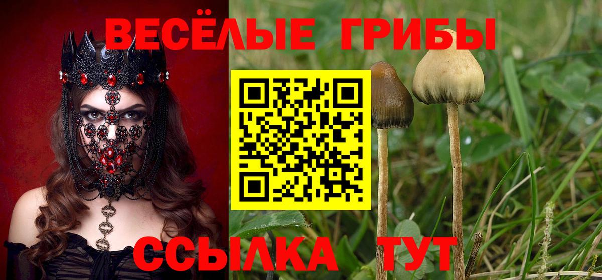 Псилоцибиновые грибы Magic Shrooms  Псилоцибиновые грибы Psilocybe  Вход с VPN  Калининград 