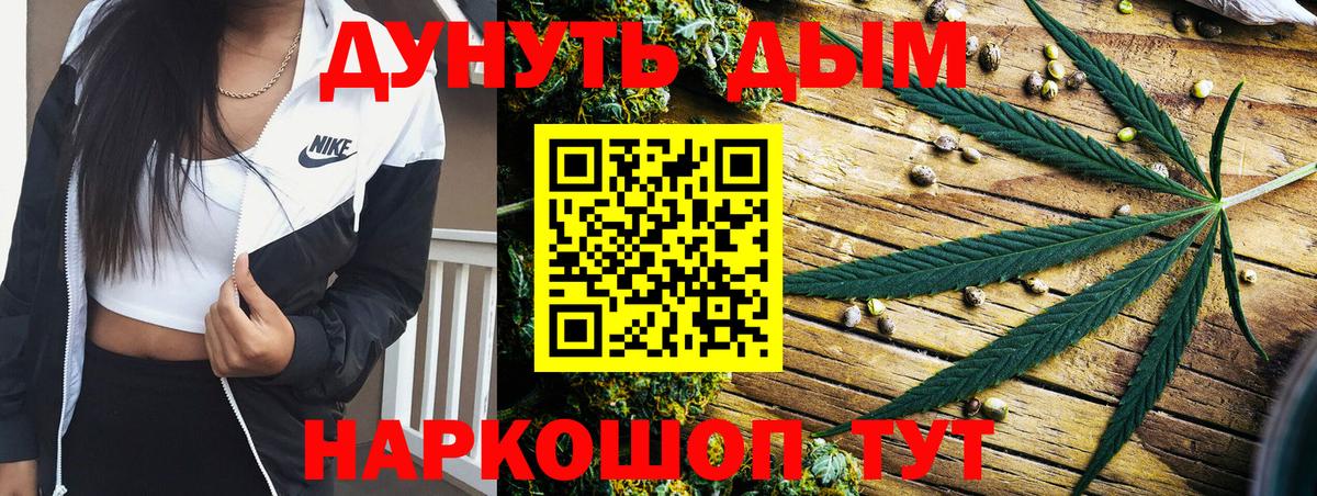 Калининград  Бошки марихуана план  Шишки марихуана конопля  Вход с VPN 